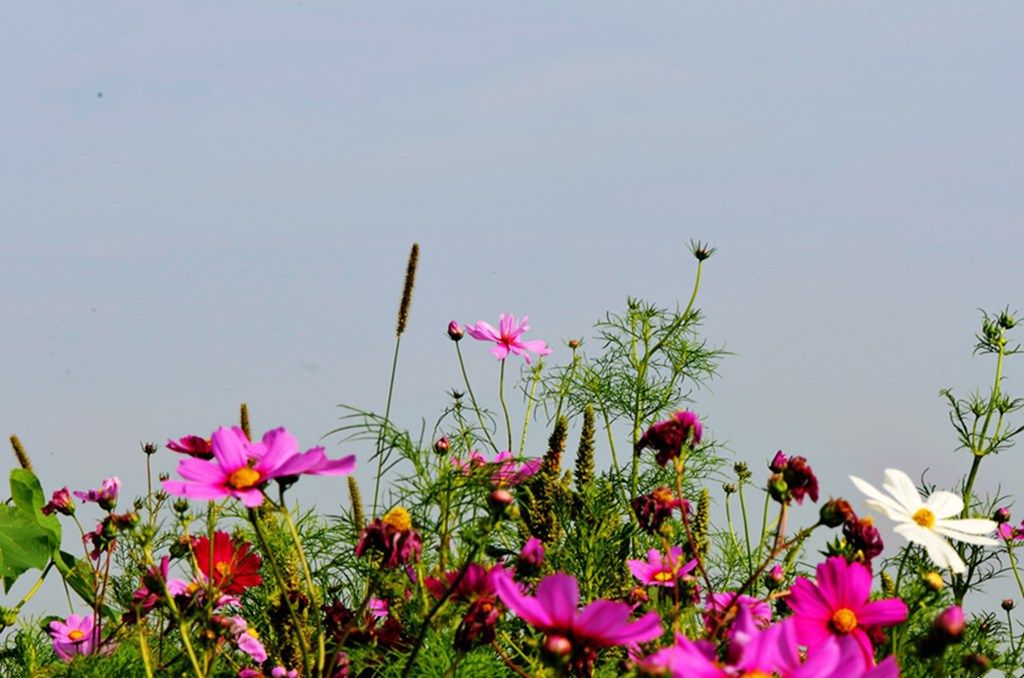 DSC_9928_����.jpg