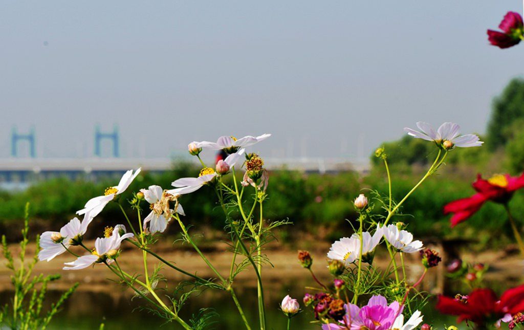 DSC_9940_����.jpg