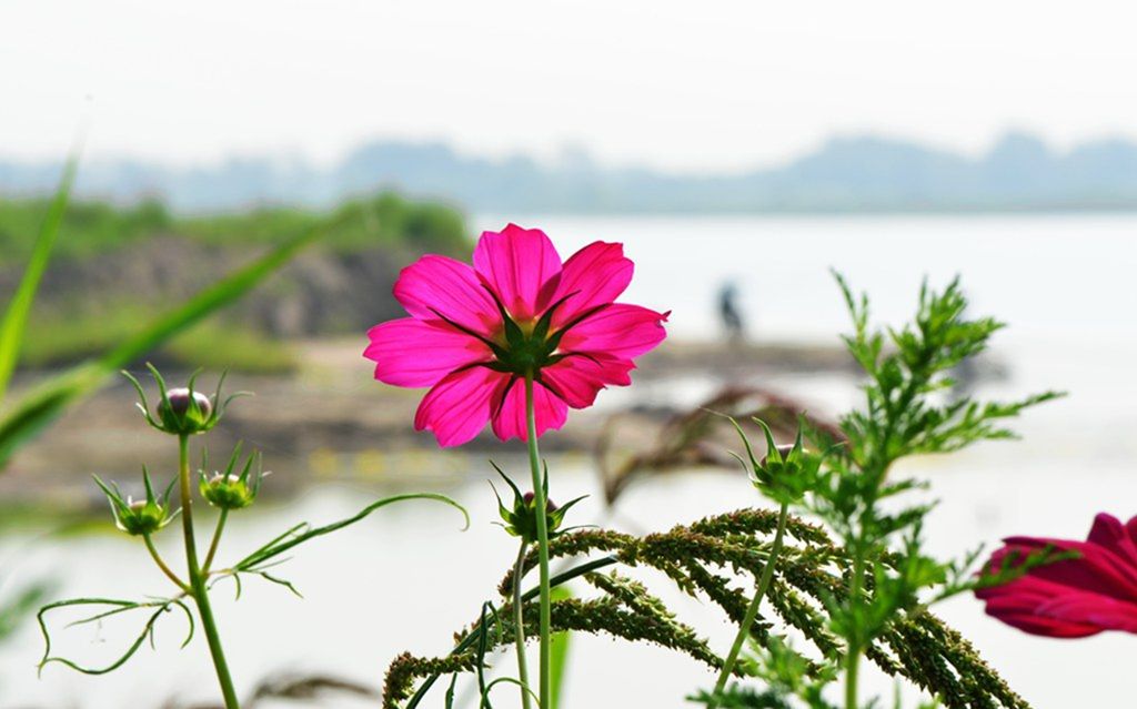 DSC_9948_����.jpg