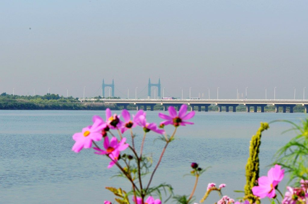 DSC_9918_����.jpg