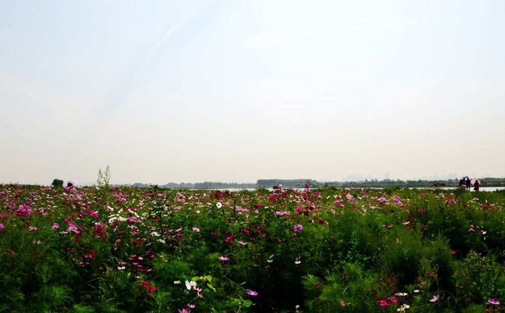 DSC_9968_����.jpg
