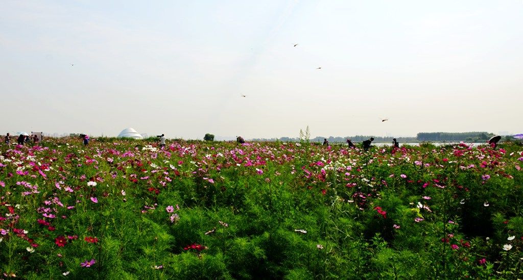 DSC_9970_����.jpg