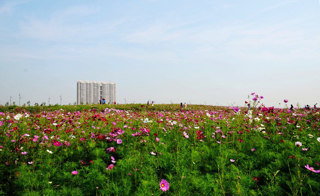 DSC_9974_����.jpg