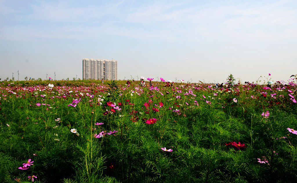 DSC_9964_����.jpg