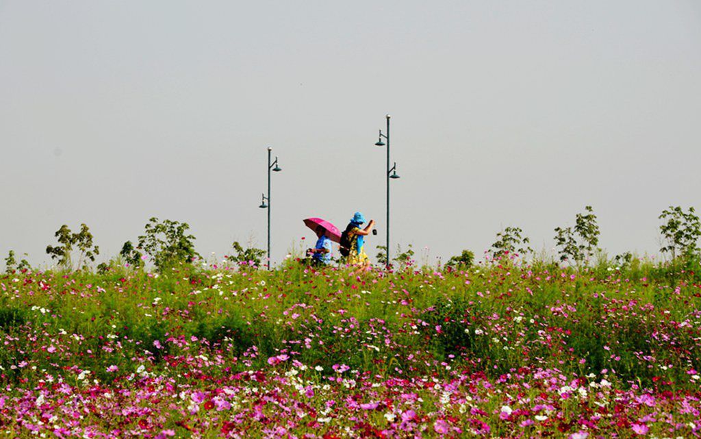 DSC_9965_����.jpg