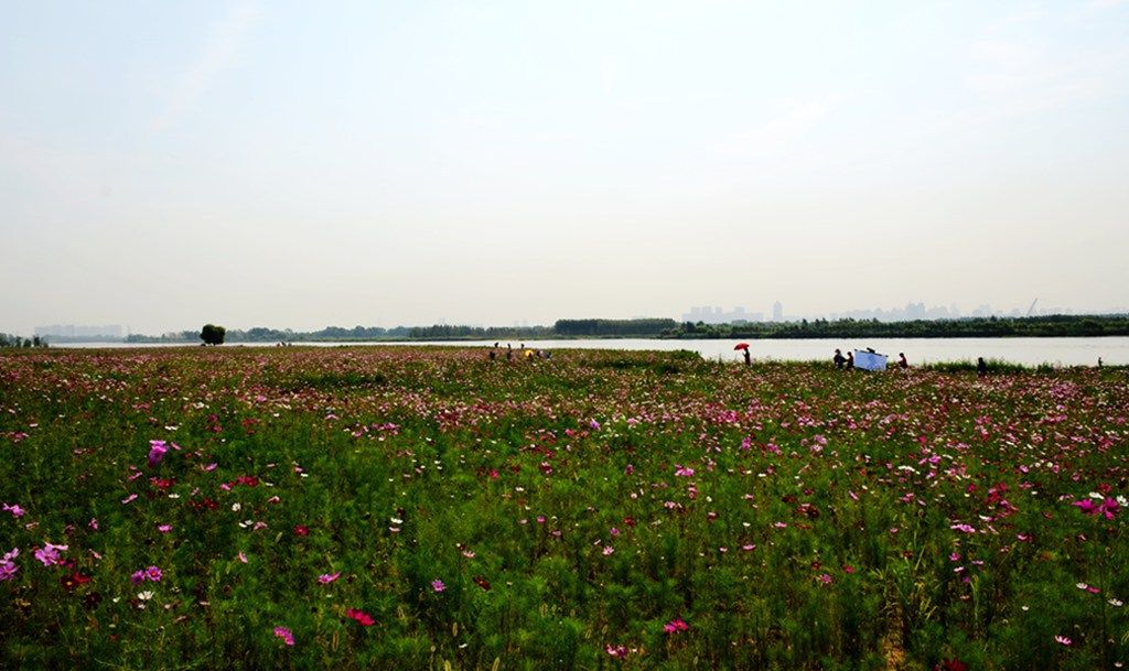 DSC_9986_����.jpg