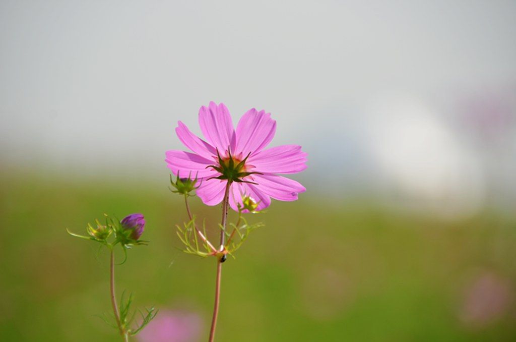 DSC_9987_����.jpg