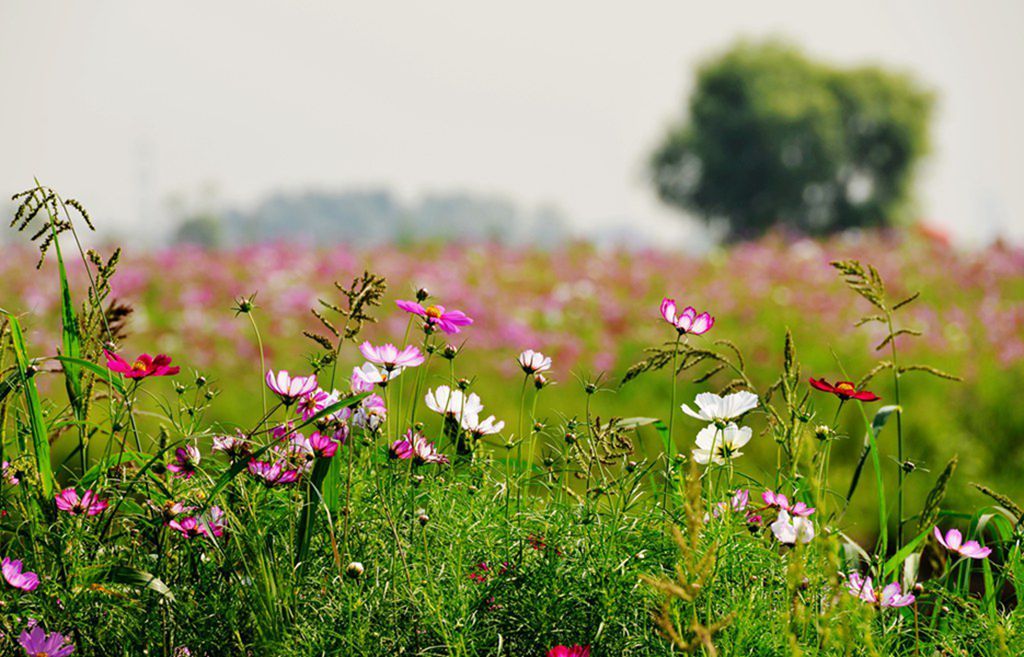 DSC_9978_����.jpg