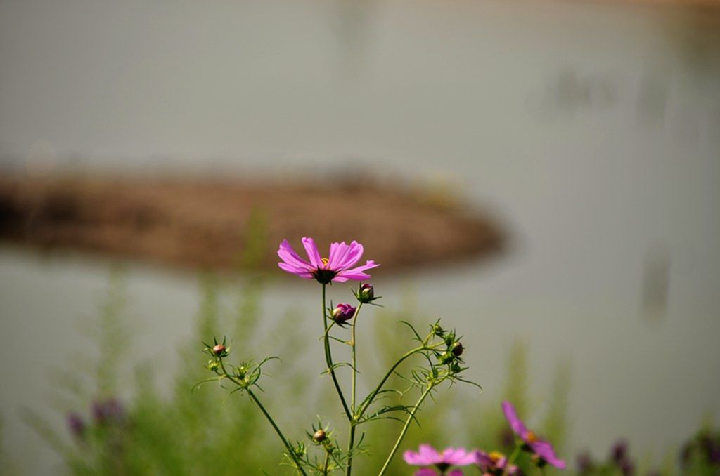 DSC_9996_����.jpg