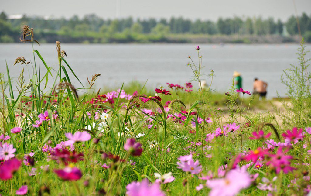 DSC_9997_����.jpg