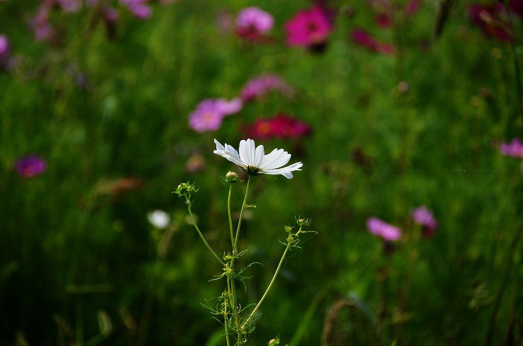 DSC_9999_����.jpg