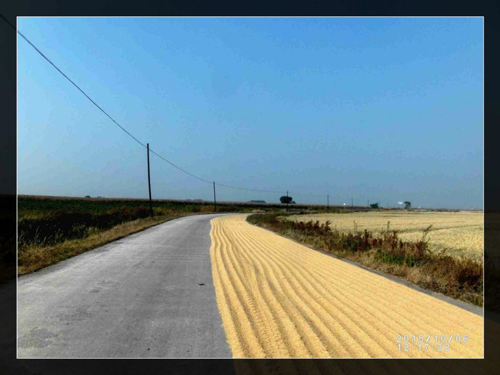 һֱ��ɹ����·��ת�䴦������δ��