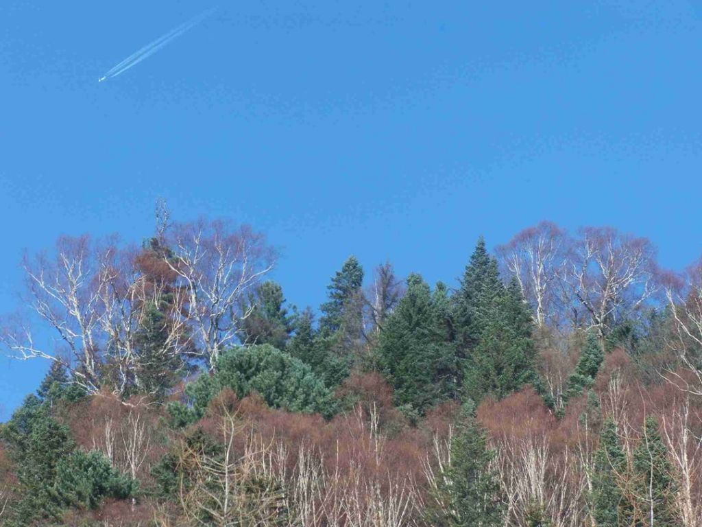 �����ֳ����л�湵