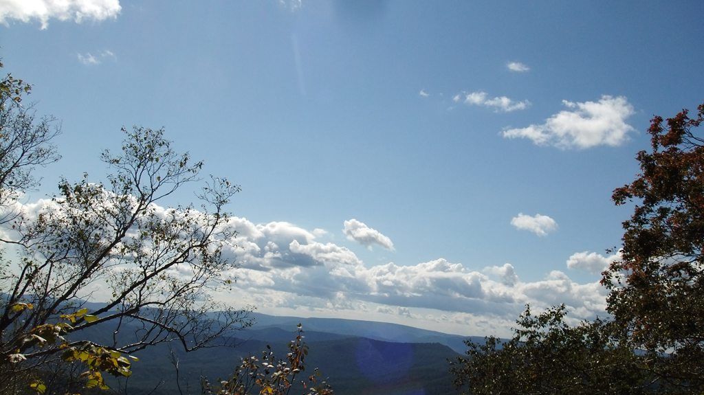 DSCF2195.jpg