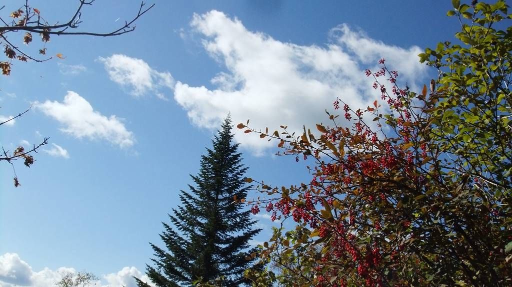 DSCF2209.jpg