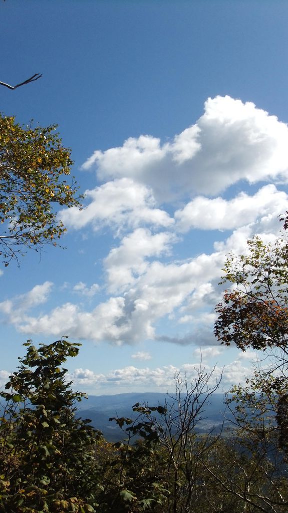 DSCF2222.jpg