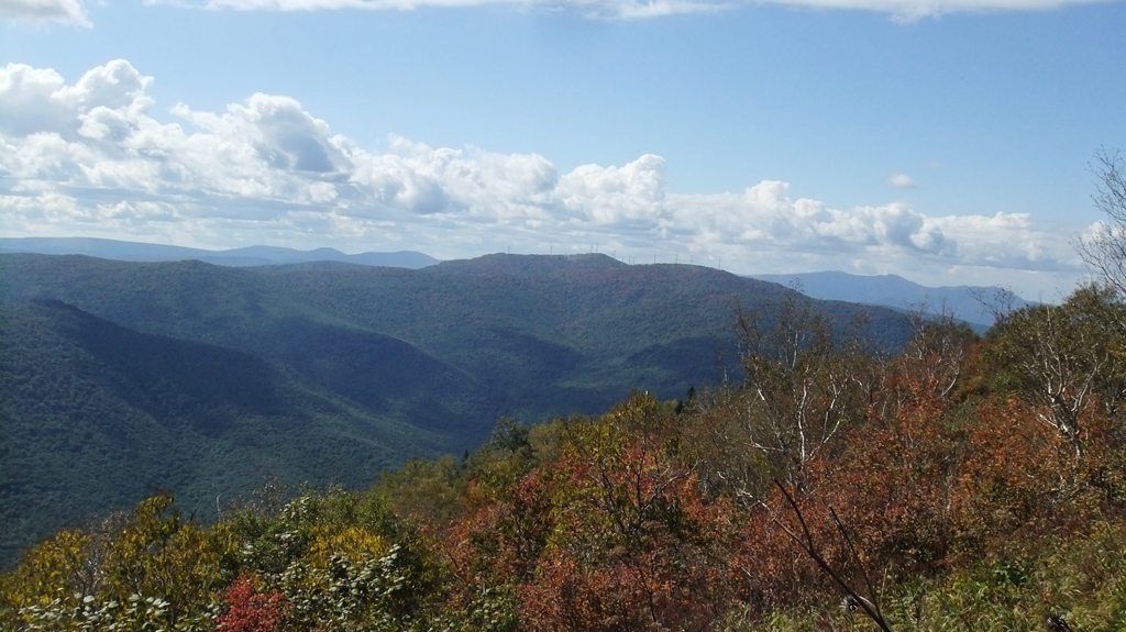 DSCF2228.jpg