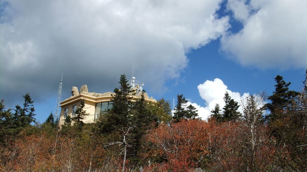DSCF2244.jpg