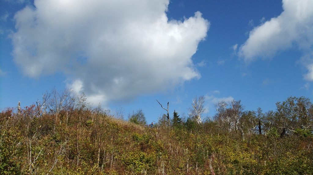 DSCF2235.jpg