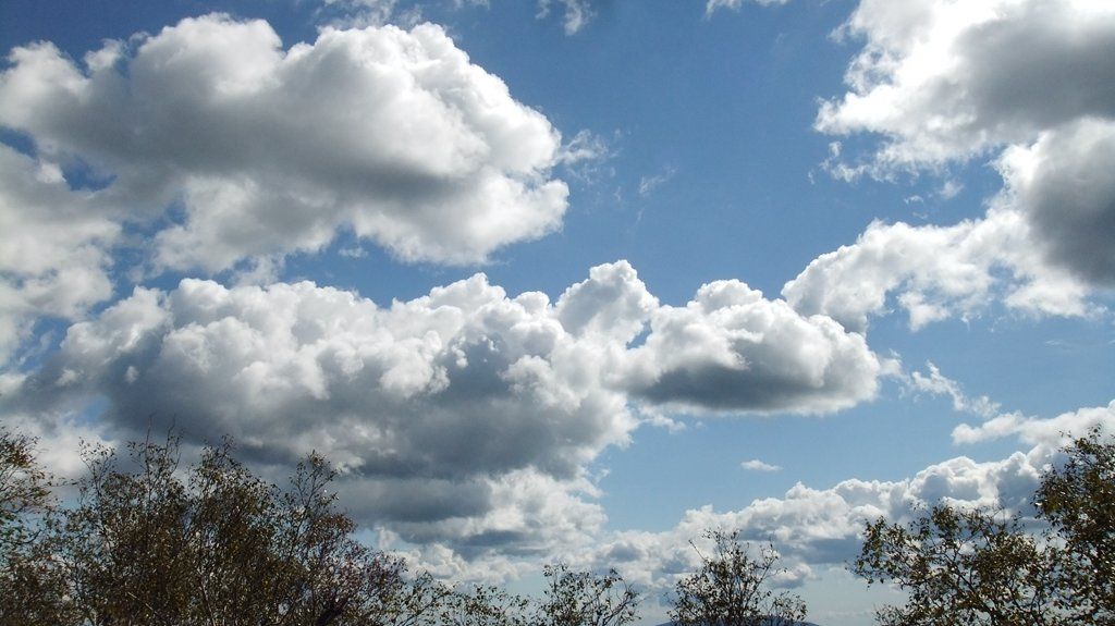 DSCF2237.jpg