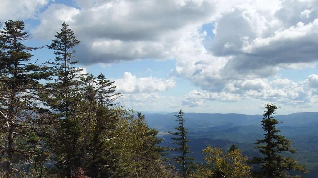 DSCF2250.jpg
