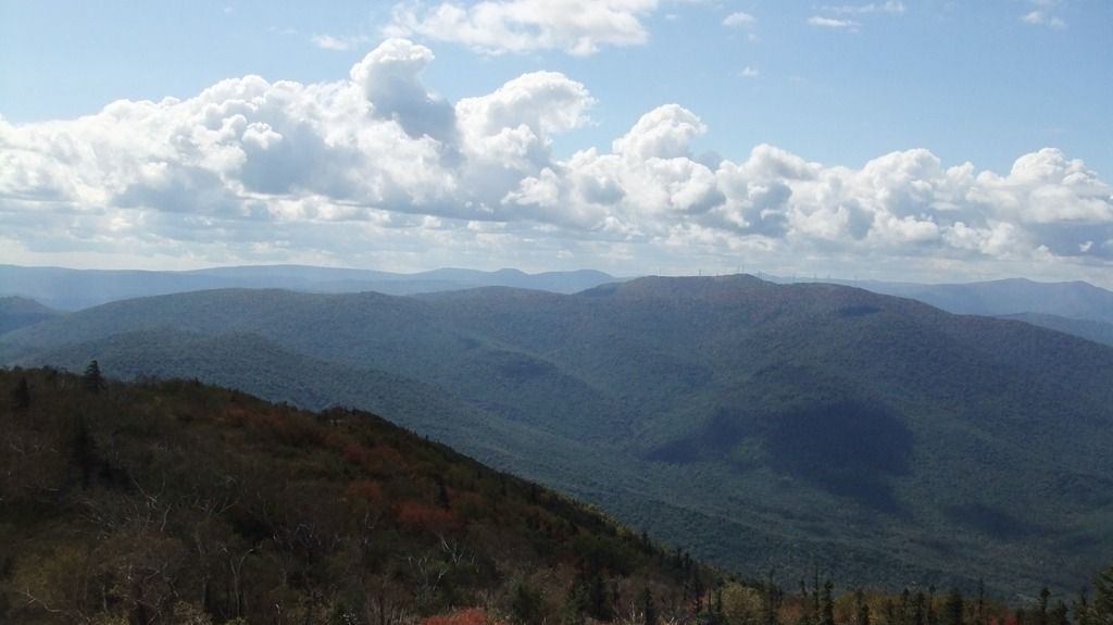 DSCF2246.jpg