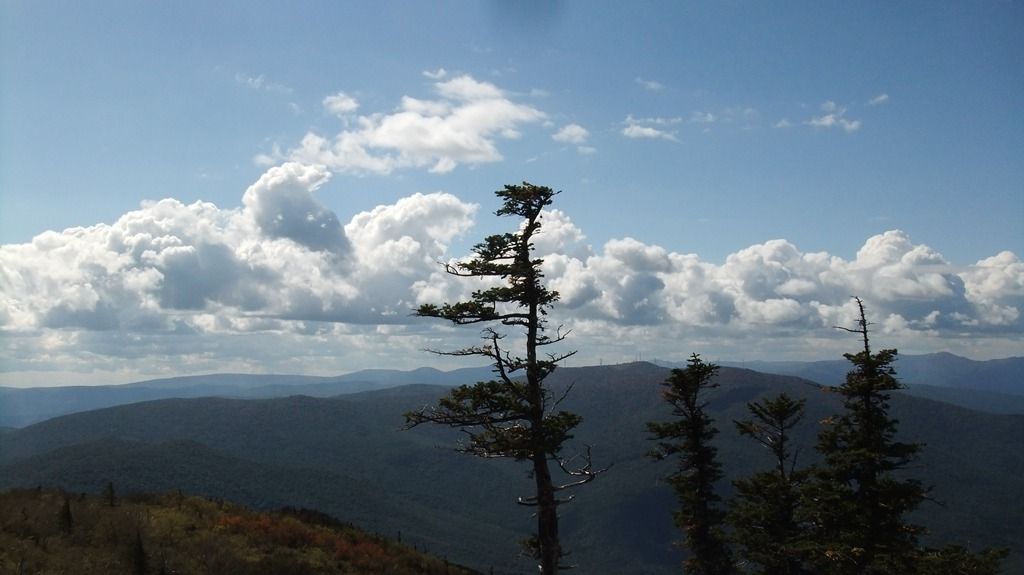 DSCF2249.jpg