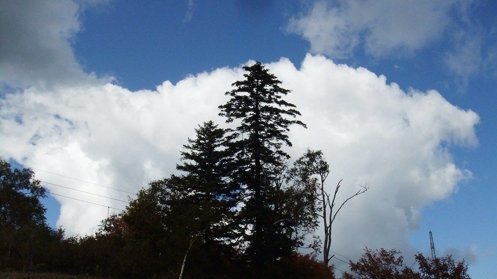 DSCF2265.jpg