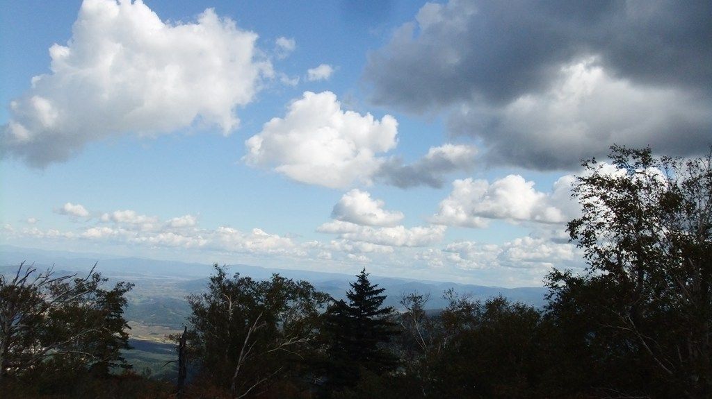 DSCF2259.jpg