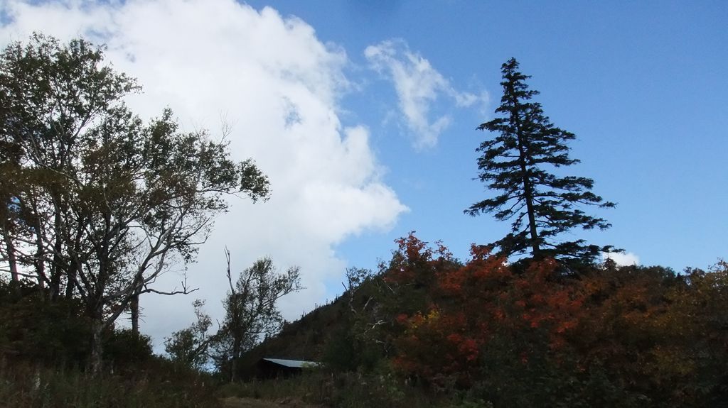 DSCF2269.jpg