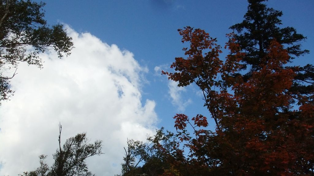 DSCF2270.jpg