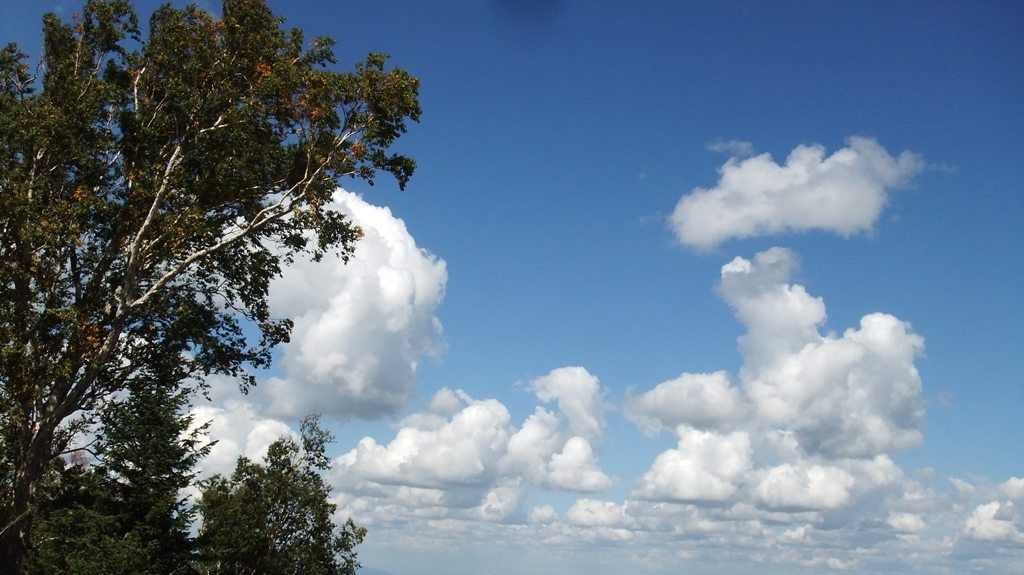 DSCF2305.jpg