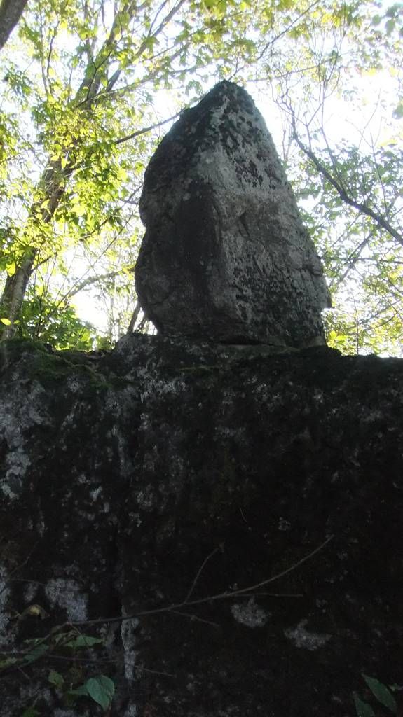 DSCF2337.jpg