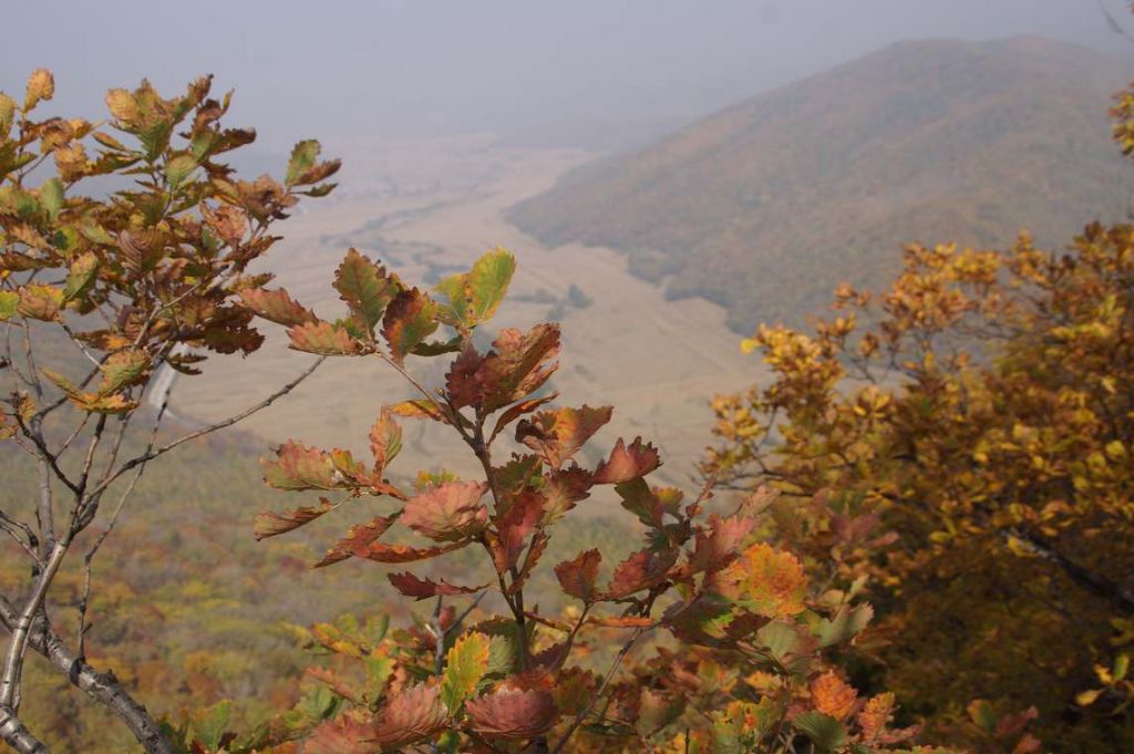 DSC09075.JPG