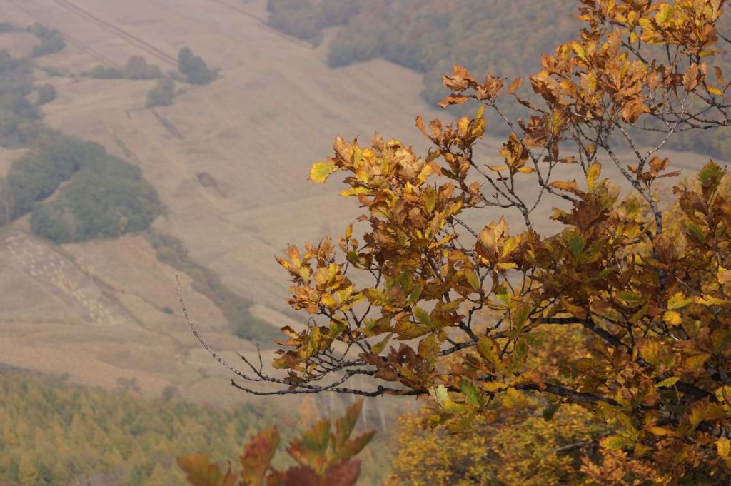 DSC09079.JPG