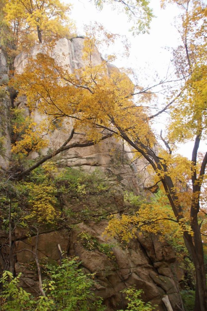 DSC09869.JPG