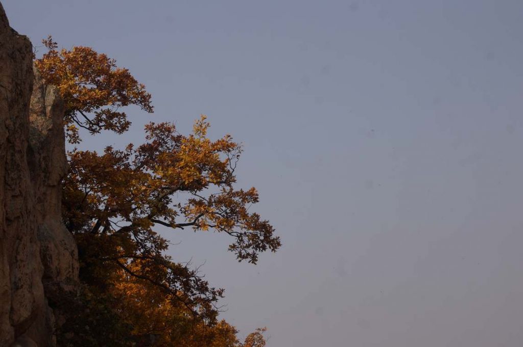 DSC09976.JPG