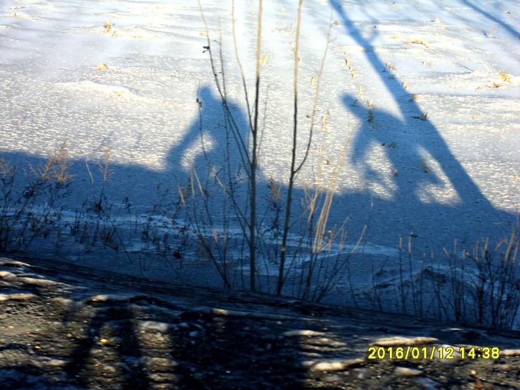 SDC12423_����.jpg