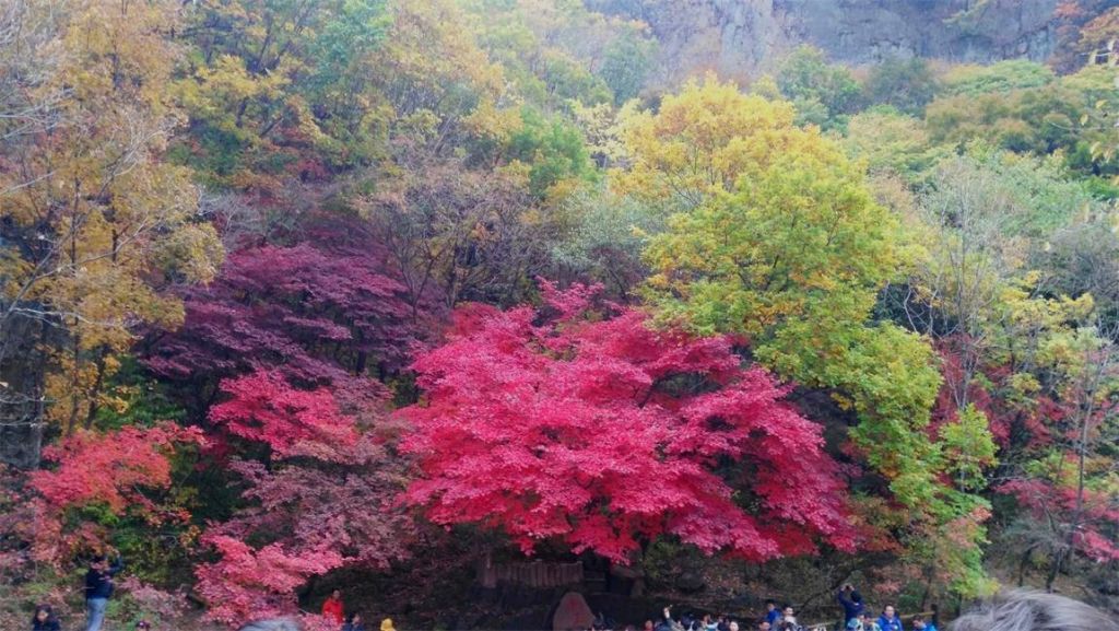 psb (17)_��ͼ��.jpg