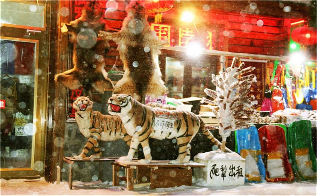 QQ��ͼ20160111145918_��ͼ��.jpg
