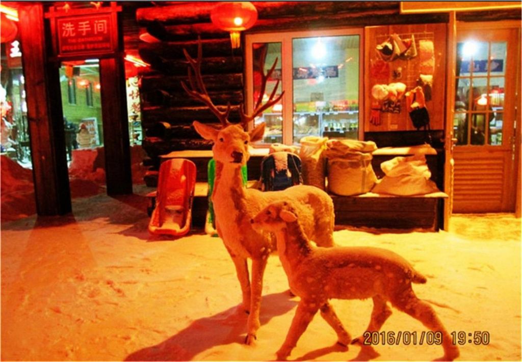 QQ��ͼ20160114184034.jpg