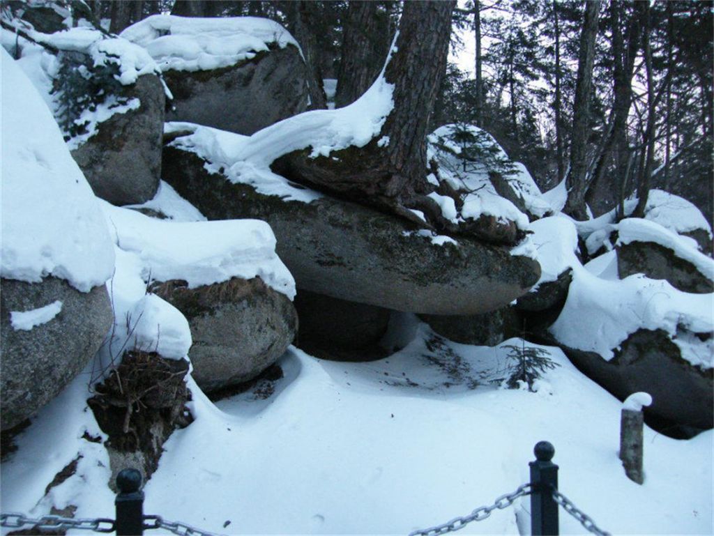 DSCF9064.jpg