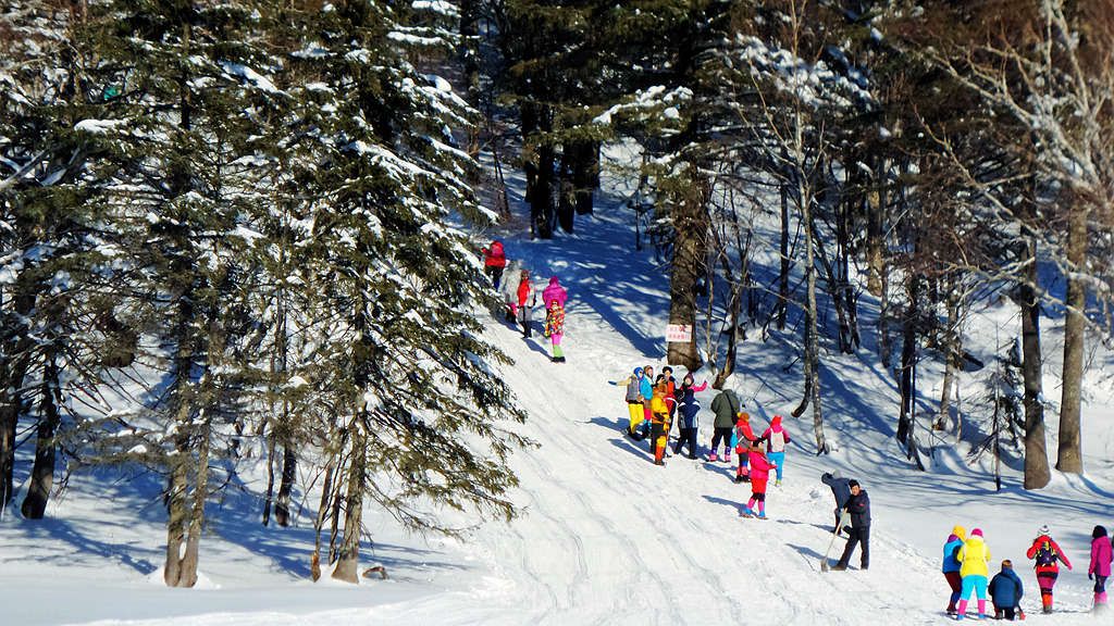 20151213_083120.jpg