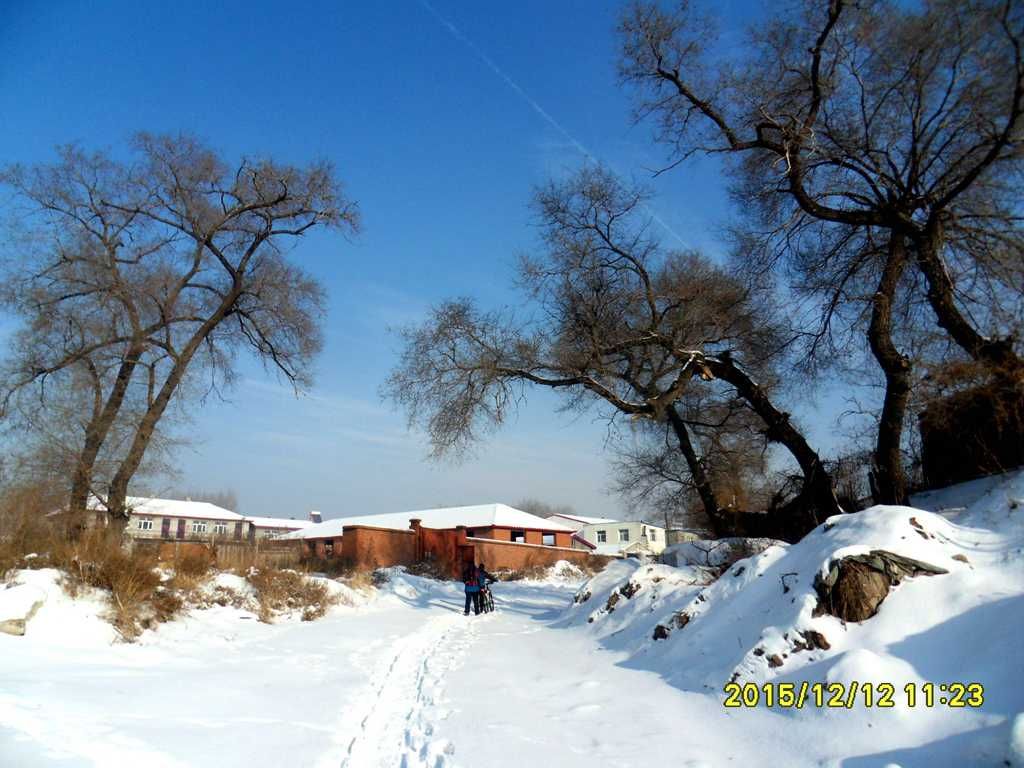 SDC11538.jpg