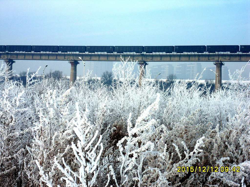 SDC11467.jpg