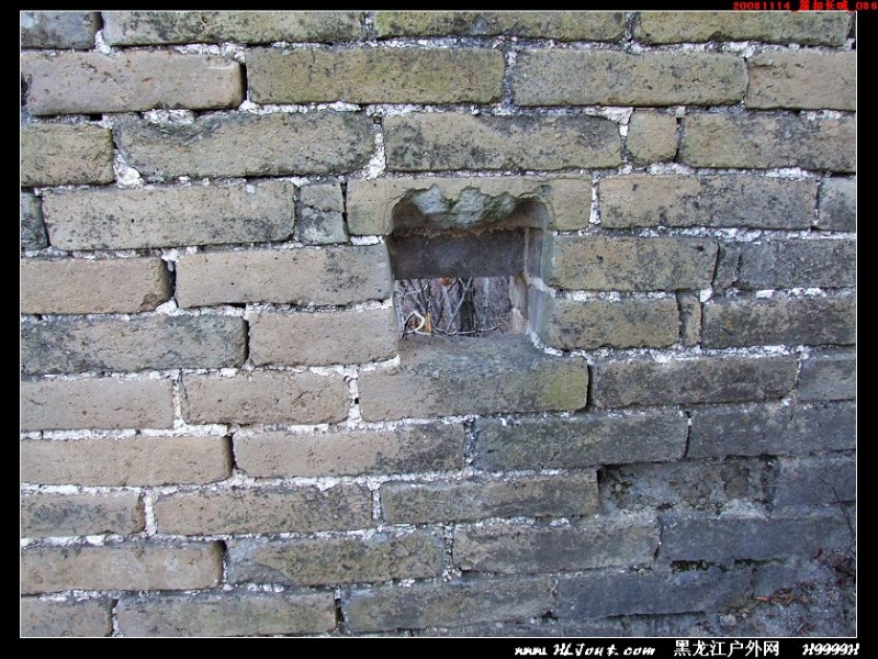 20081114_���۳���_086.jpg