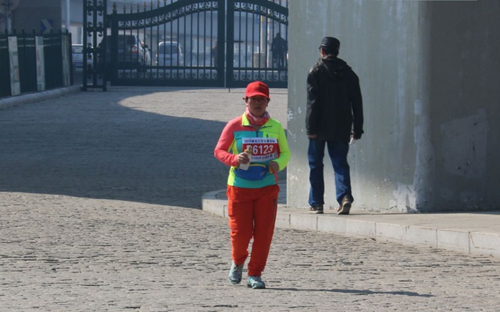 337.jpg