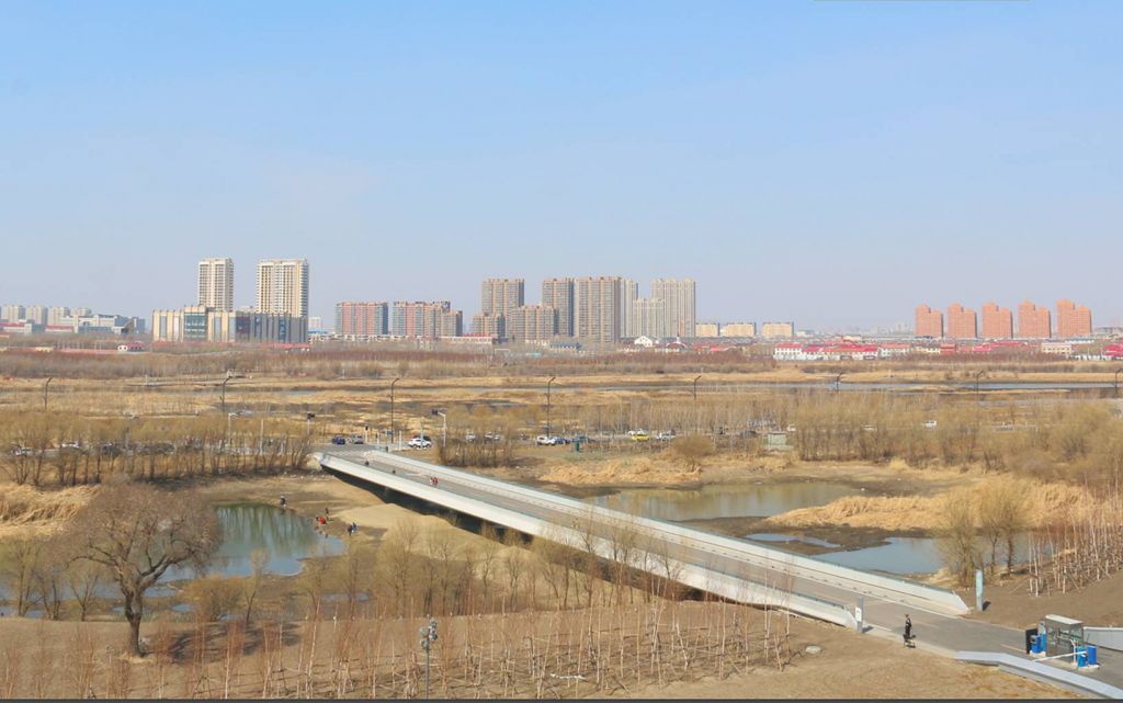 78.jpg