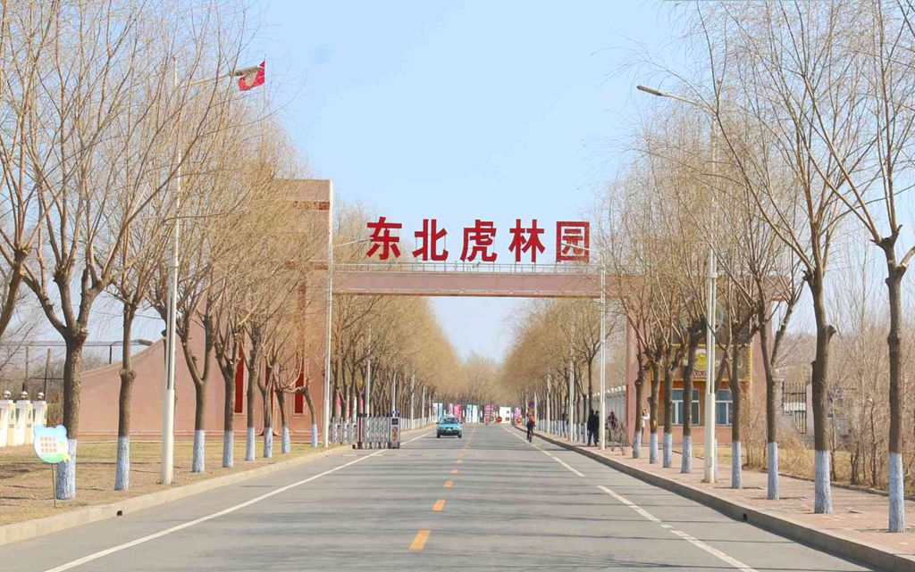 94.jpg