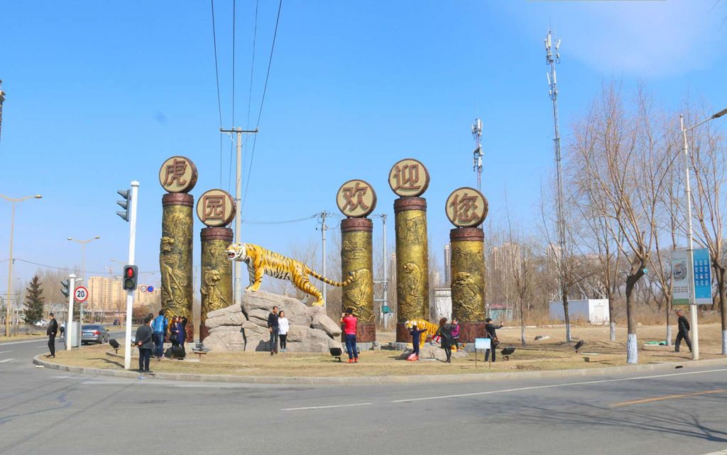 93.jpg
